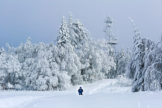 老里克湖冬季,林海雪原