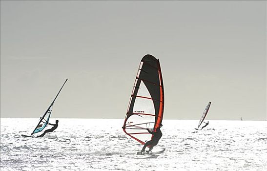 帆板,富埃特文图拉岛,加纳利群岛,西班牙,欧洲