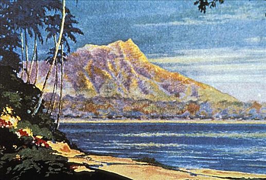 夏威夷,瓦胡岛,描绘,钻石海岬,海滩,棕榈树,前景