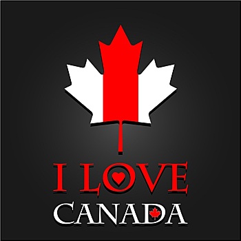 喜爱,加拿大,标识,标签,枫叶,旗帜