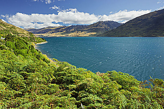 瓦纳卡湖,奥塔哥,南岛,新西兰
