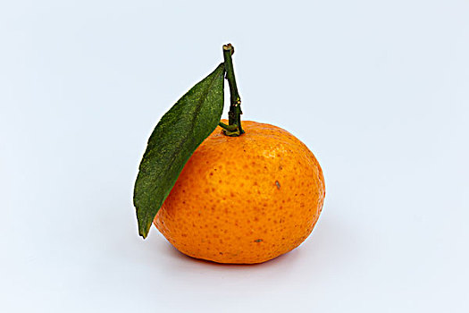 小橘子