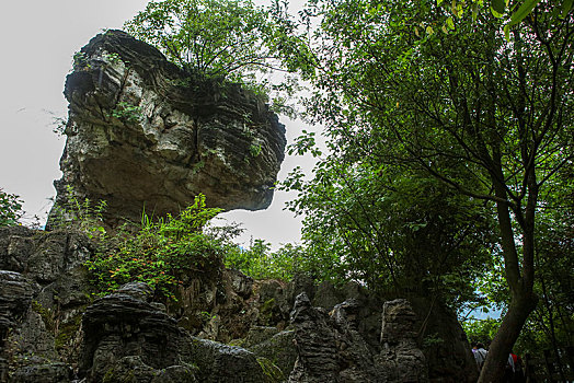 宜昌,三峡人家,长江,运输,航道,民俗,表演,风景,景点,旅游,高山,瀑布,河流,神秘,树木,植被,峡谷,壮观