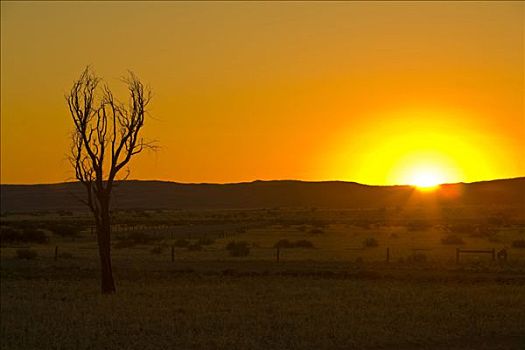日落,纳米布沙漠,纳米比亚,非洲