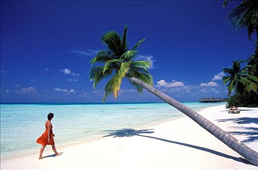 马尔代夫,环礁,美女,海滩,岛屿