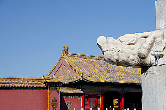 中国,北京,故宫,帝王,宫殿,明代,清朝,墙壁,传统,神话,石刻,龙,脸