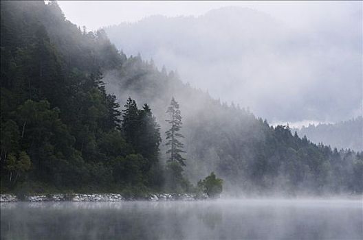 模糊,湖,山峦,奥地利