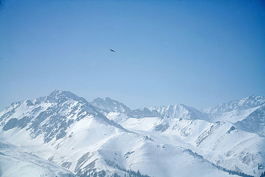 冬季草原雪山