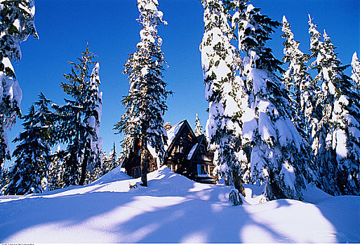 木屋,冬天,海岸山脉,不列颠哥伦比亚省,加拿大