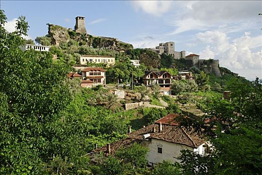 城堡,城市,阿尔巴尼亚,欧洲