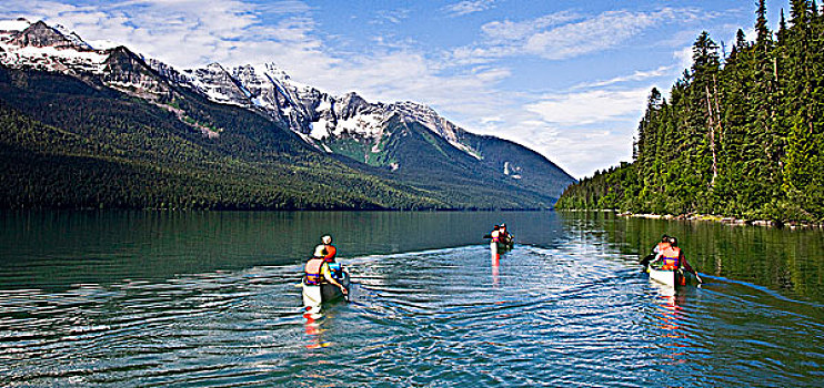 独木舟,湖,鲍伦湖,公园,不列颠哥伦比亚省,加拿大