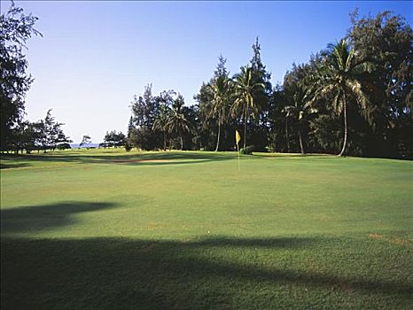 夏威夷,考艾岛,威陆亚,城市,高尔夫球场,青草,棕榈树