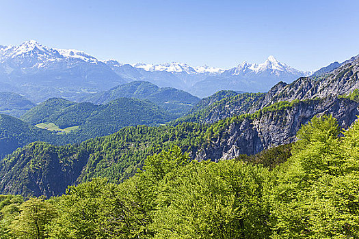 瓦茨曼山,贝希特斯加登阿尔卑斯山,巴伐利亚,德国,欧洲