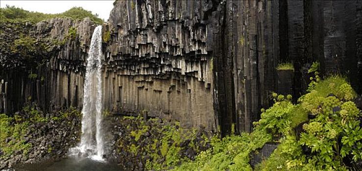 玄武岩,柱子,瀑布,史瓦提瀑布,斯卡夫塔菲尔国家公园,冰岛