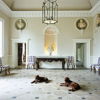巧克力,拉布拉多犬,放松,地面,新古典,门廊,装饰,半身像