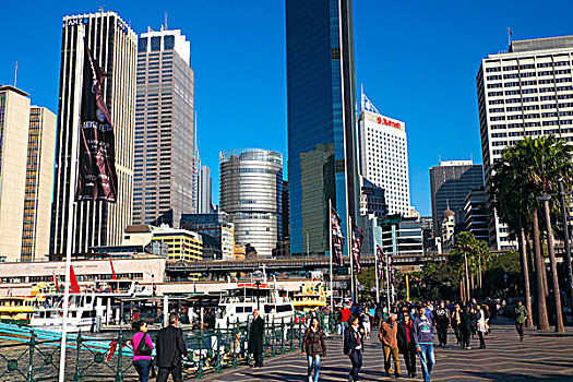 旅游,游人,悉尼,享受,环形码头