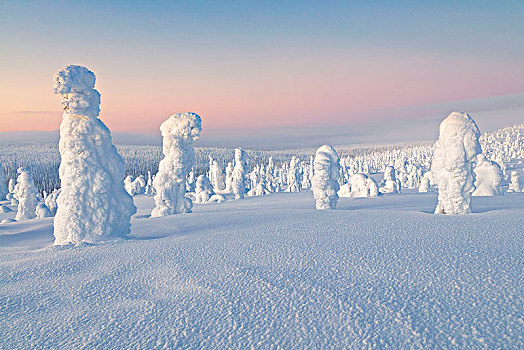 特色,冰,雕塑,木头,国家公园,拉普兰,芬兰,欧洲