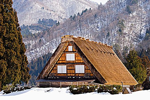 传统,日本人,茅草屋顶,乡村,房子,冬天,岐阜,日本