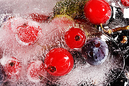 冰块,冷冻水果,树林,越橘,蓝莓,红醋栗