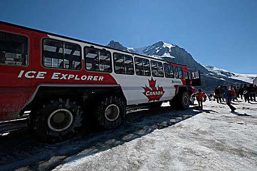 加拿大哥伦比亚冰原车