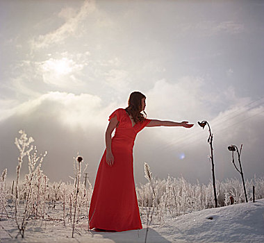 女人,红裙,冬天