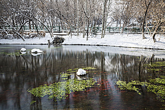 公园雪景