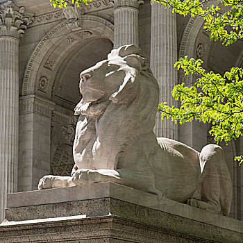 雕塑,狮子,纽约公共图书馆,市中心,曼哈顿,纽约,美国