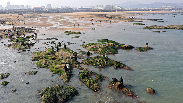 航拍赶海胜地太公岛,游客赶海拾贝乐在其中