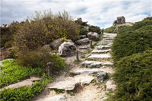 石头,楼梯,假山庭园,植物园