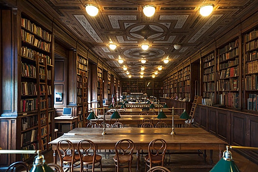 大学图书馆,读,房间,维也纳,奥地利,欧洲