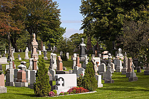 皇家山,墓地,蒙特利尔,魁北克,加拿大