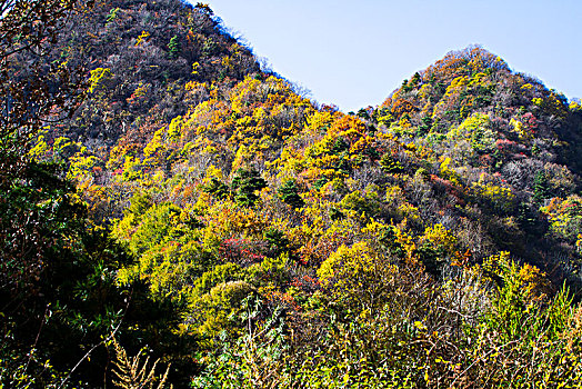 秦岭秋色