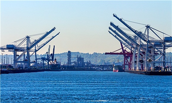 西雅图,华盛顿,港口,红色,白色,起重机,货船