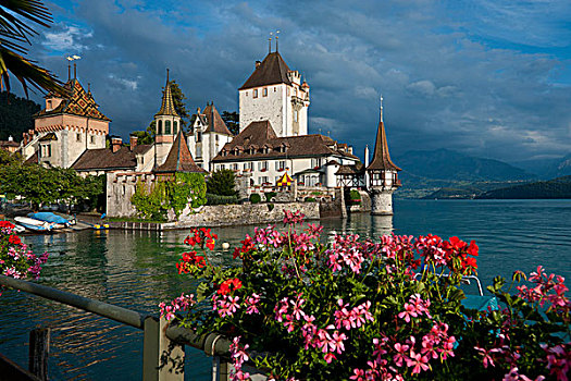 城堡,湖,图恩,伯恩,瑞士,欧洲