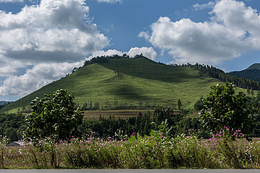 山脉绿色旅行