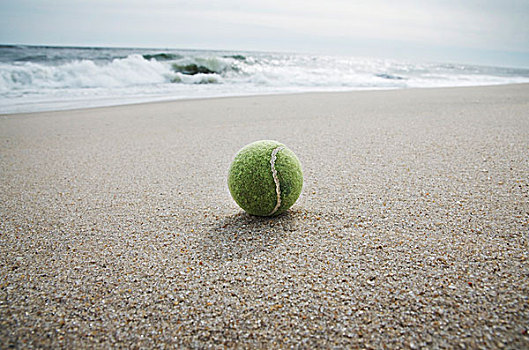 特写,网球,海滩,高兴,新泽西,美国