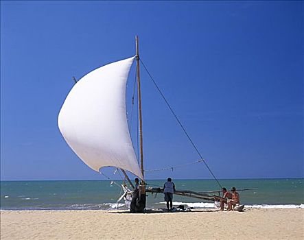 传统,舷外支架,渔船,斯里兰卡