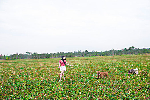 年轻的女孩和她的狗在草坪快乐的玩耍