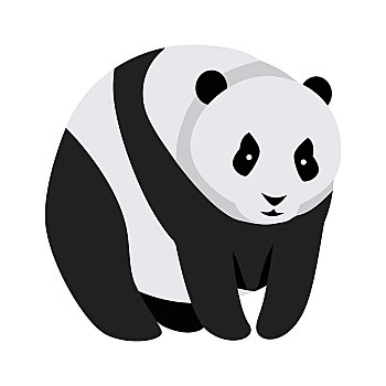 大熊猫,熊,隔绝,白色背景,动物,南,华中,大,独特,黑色,眼睛,上方,耳,圆,身体,不干胶,孩子,矢量