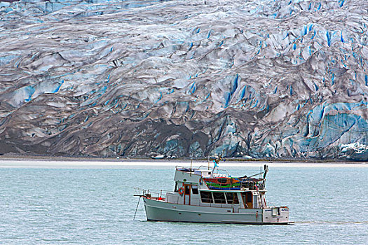 美国,阿拉斯加,冰河湾国家公园,海豚属,旅游,船,锚定,靠近,冰河
