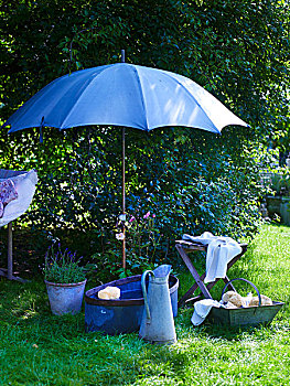 旧式,洗,器具,下方,伞,花园