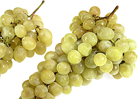 白葡萄,葡萄,酿酒葡萄,水果,白色背景