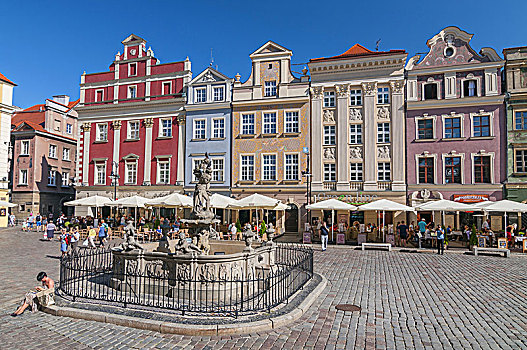 建筑,老,房子,喷泉,市场,广场,波兹南,波兰