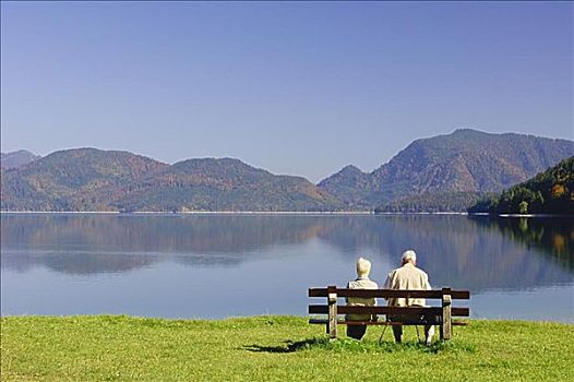 伴侣,湖,巴伐利亚,德国
