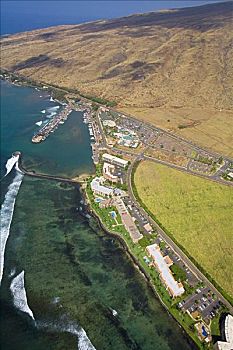 夏威夷,毛伊岛,港口,商店,公寓,俯视
