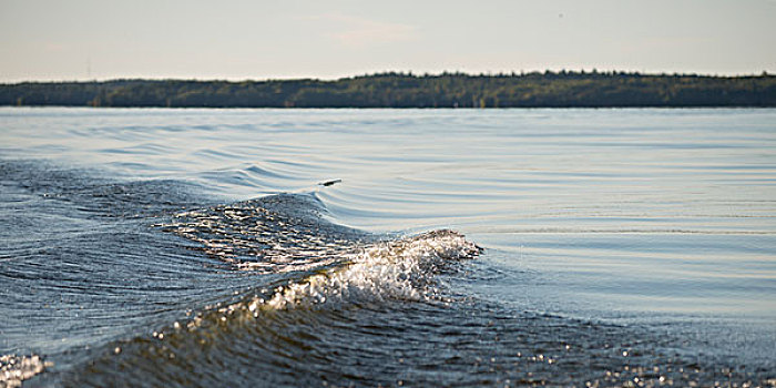 波浪,湖,木头,安大略省,加拿大