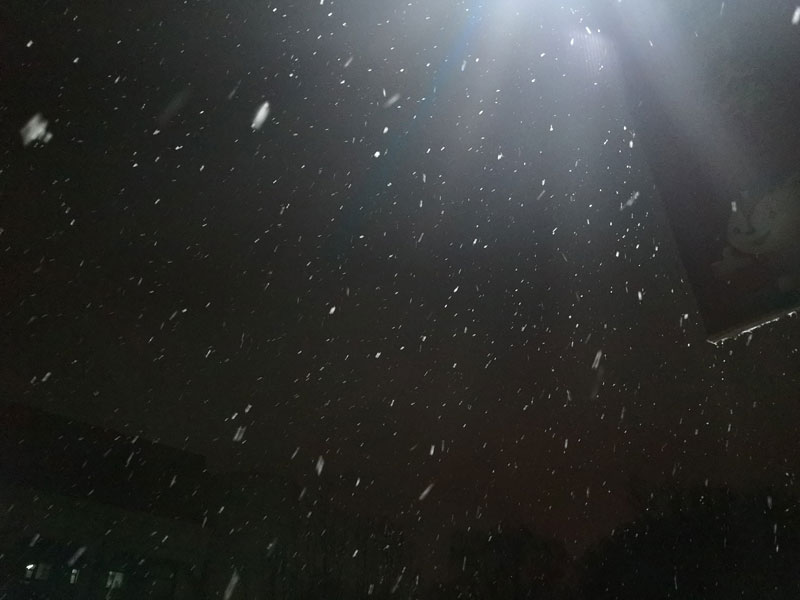 晚上下雪了图片真实图片