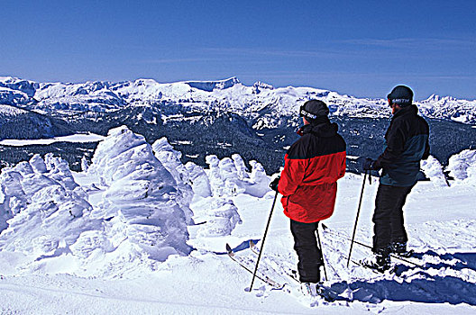 华盛顿山,滑雪胜地,滑雪者,山,俯瞰,温哥华岛,不列颠哥伦比亚省,加拿大
