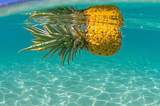 菠萝,漂浮,游泳池,特写