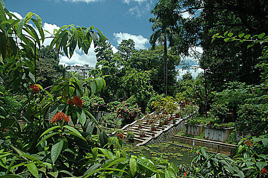 花园,达卡,孟加拉,八月,2006年